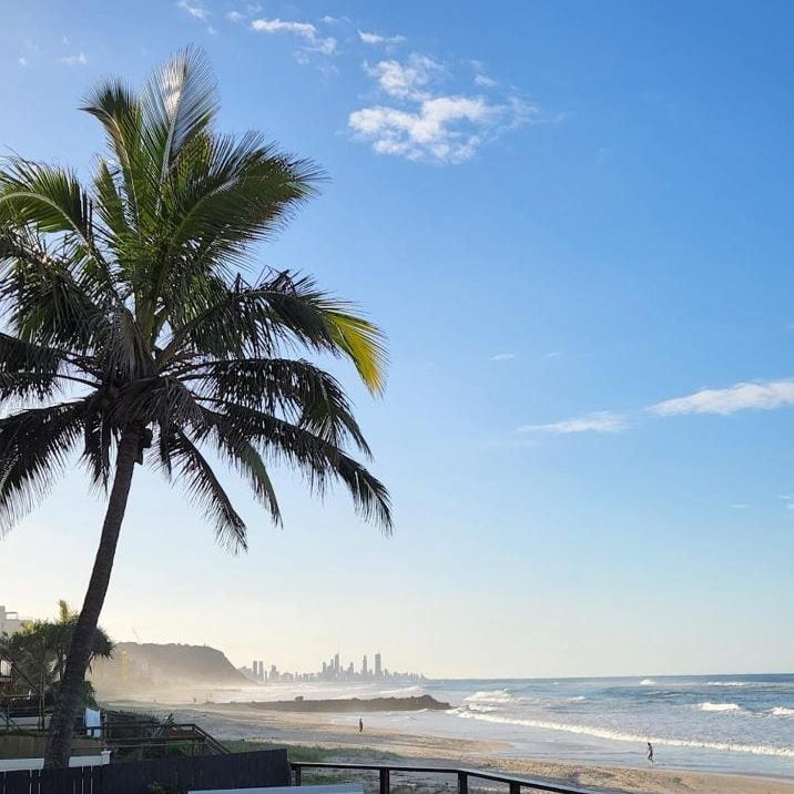 Bask in the serenity of the Palm Beach sunrise 150m walk